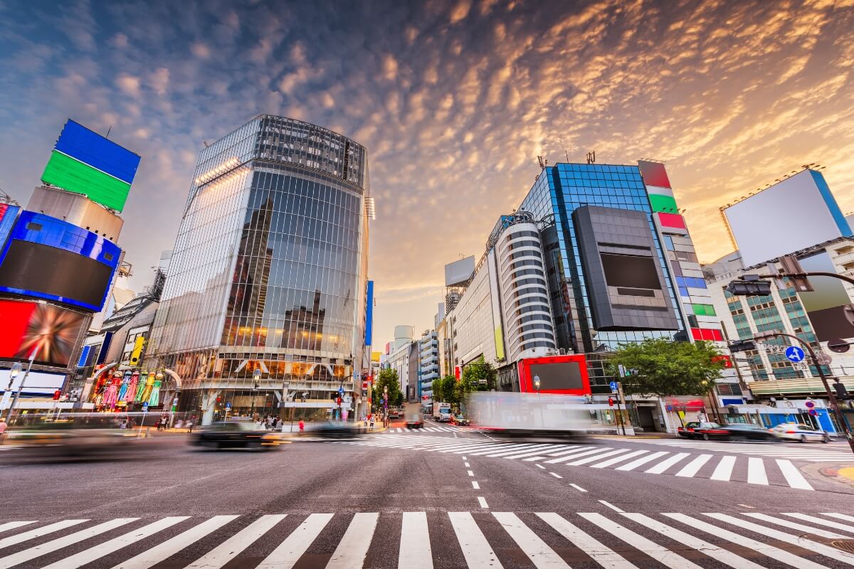 establishing a japanese subsidiary